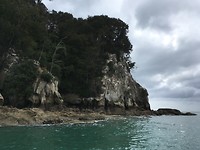 Kust Tasman sea