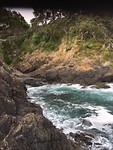 Sailfish Cove