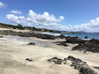 Tawharanui strand