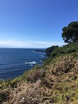 Leigh coastal walk