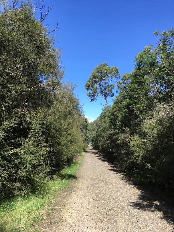 Churchill parc
