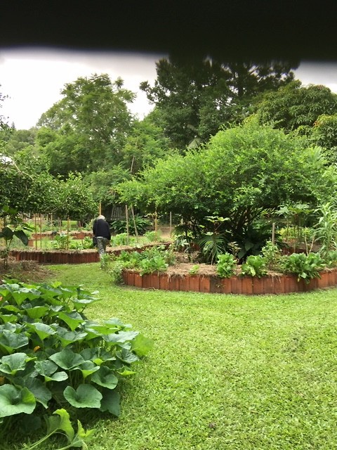Moestuin