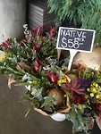 Aussie flowers