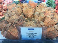 Moreton Bay Bugs