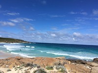 Surf