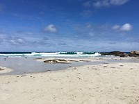Surf