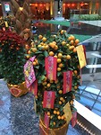 Chinees Nieuwjaar