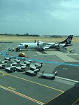 vliegtuig naar Dunedin