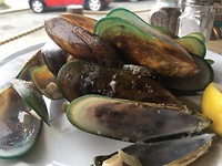 blue lip mussels