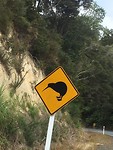 kiwi sign