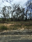 fire damage