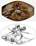 Griffin Warrior zegelring
