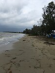 Bezaaid strand.