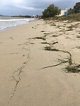 Strand Gialova v