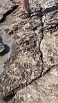Blowhole in National Park Slagbaai