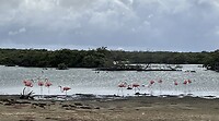 Lac Cai