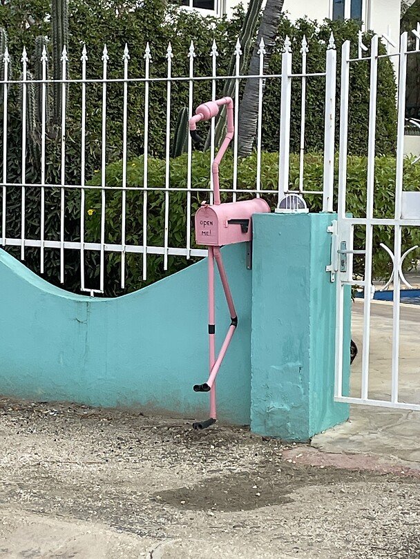 Flamingo