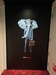 Onze eerste olifant gespot!