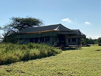 Tent ‘buffel’ ons verblijf
