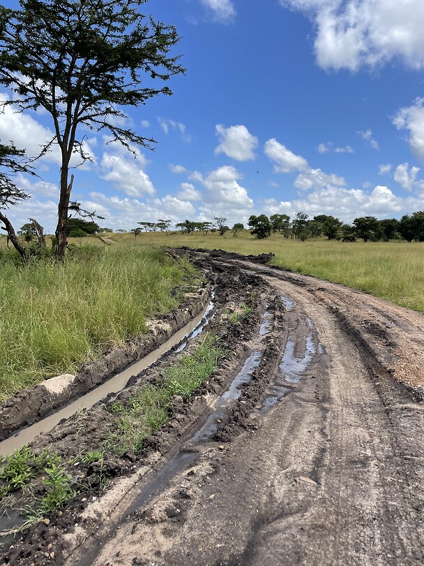 Dirt road