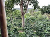 IMG_5652