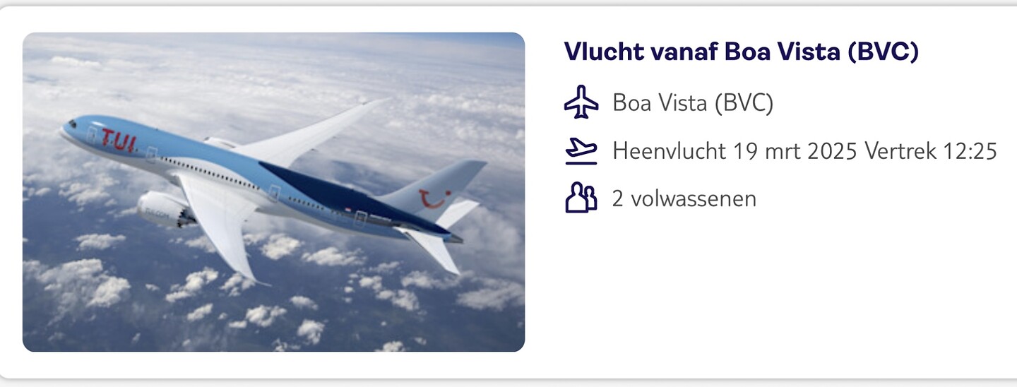 Terugvlucht