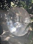Solar cooker.