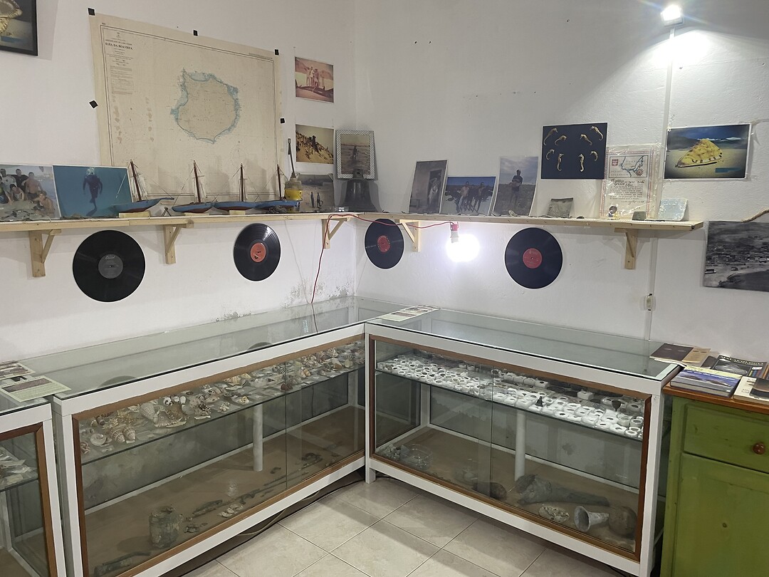 Museum uitstalling