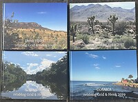 Reisblog boeken