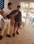 Grouper 2025