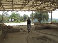 Palace of Nestor 2011