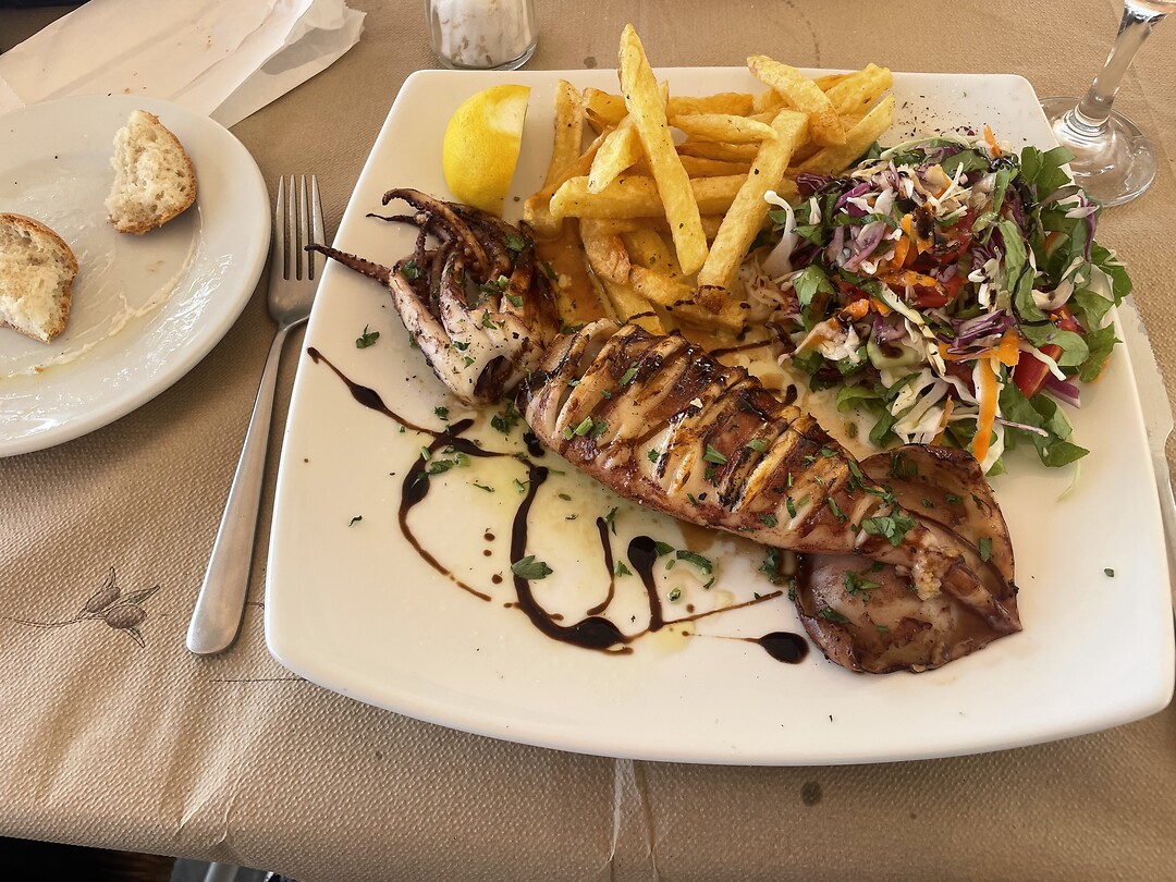 Squid lunch