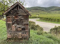 Insectenhotel