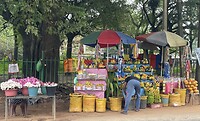 Bloemen-, fruitverkopers