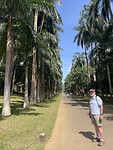 Palmenlaan