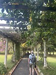 Flower walk