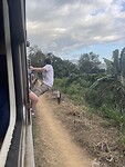 Treinhanger