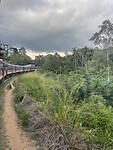 Trein