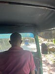 Tuktuk chauffeur.