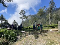 Theepluksters