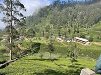 Line houses.