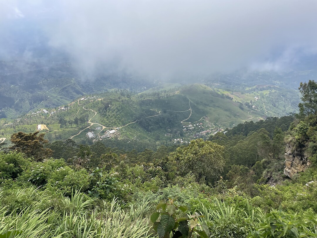 Misty mountain