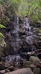 Waterval regenwoud