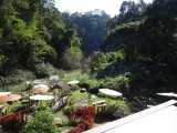 DSC01141
