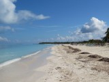 Cuba januari 2015 196