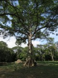 Cuba januari 2015