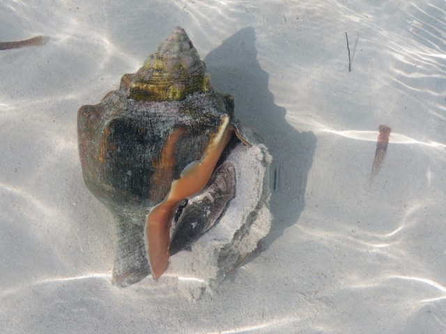 Cuba januari 2015