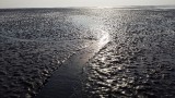 Eb waddenzee