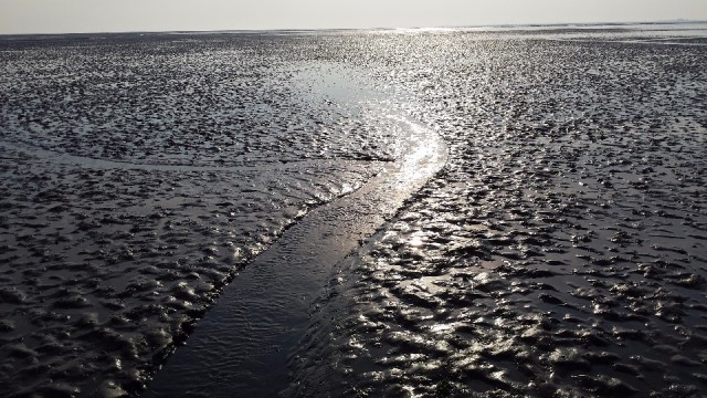 Eb waddenzee