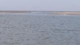 20150822_093632